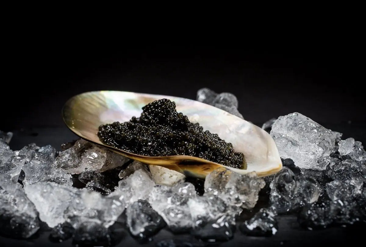 Caviar-De-Neuvic-A-New-Breed-Of-Caviar FINE & WILD