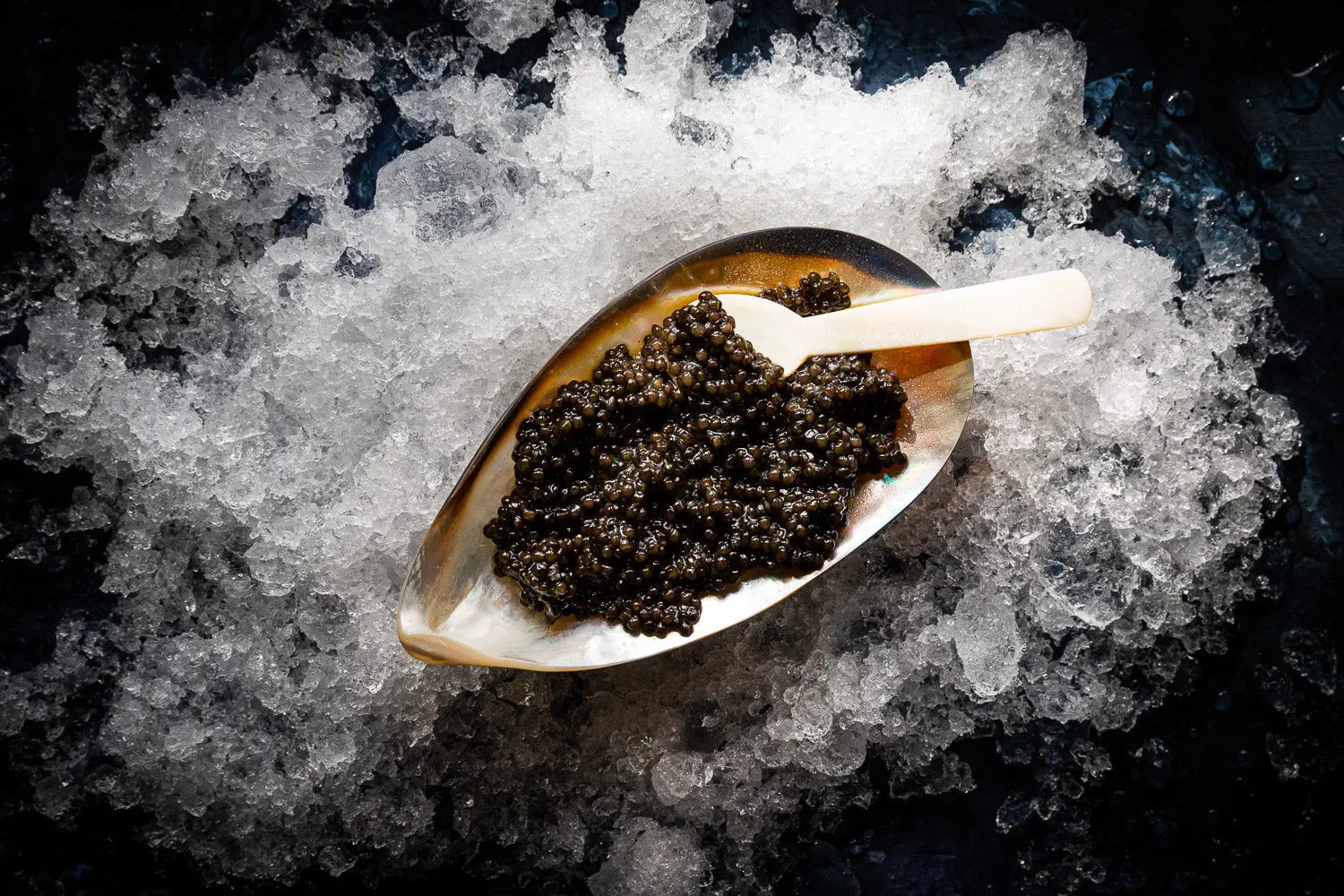 SUSTAINABLE-LUXURY-INSIDE-THE-WORLD-OF-STURIA-CAVIAR FINE & WILD