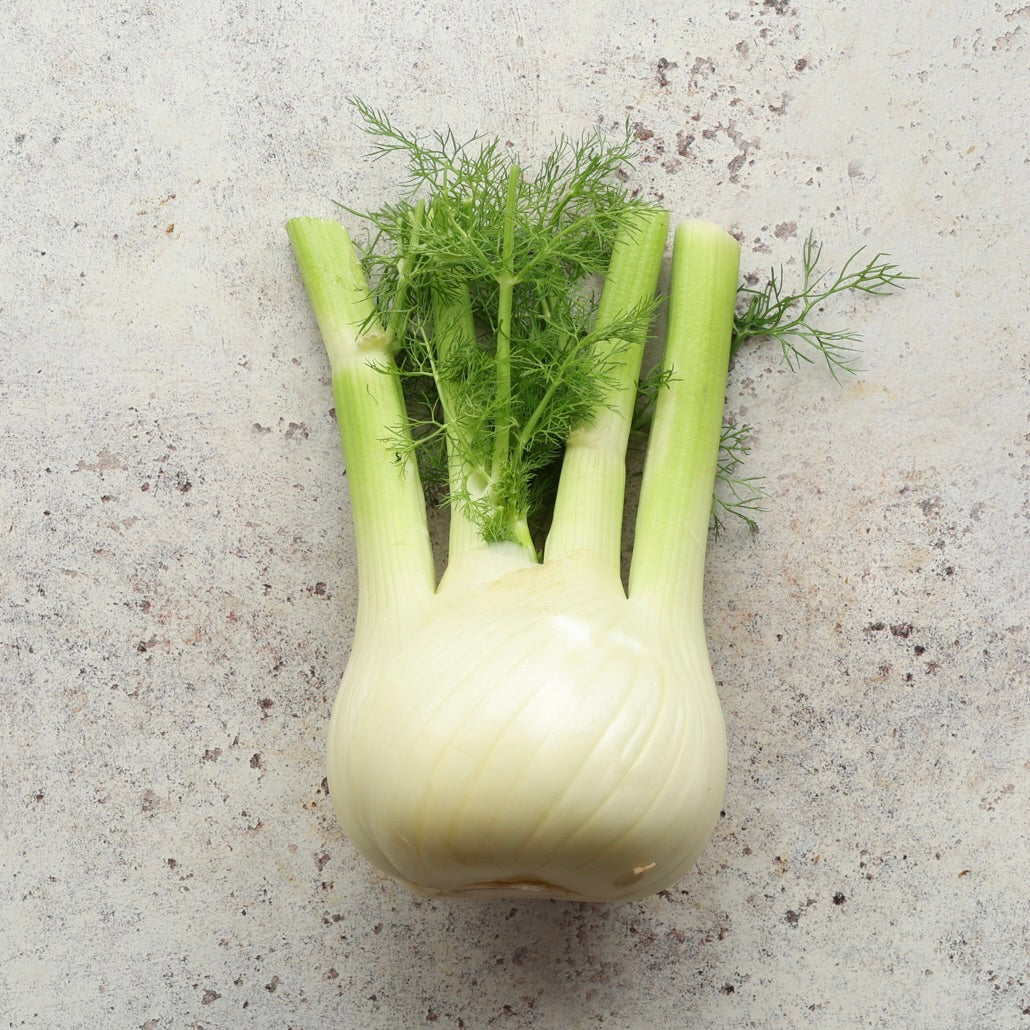 LARGE FENNEL BULBS 500g±