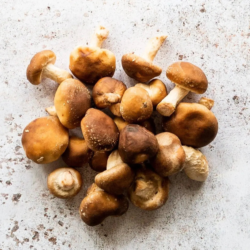 Fresh Baby Shiitake Mushrooms | FINE & WILD UK 