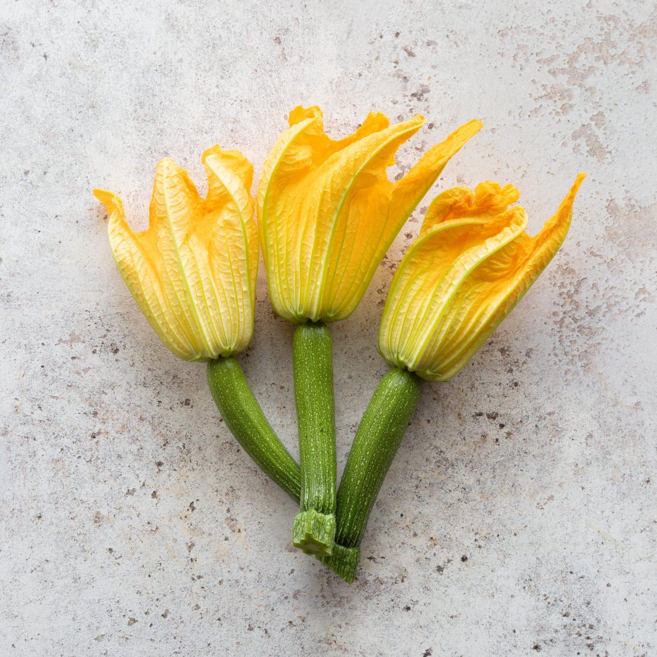 COURGETTE FLOWERS x 6