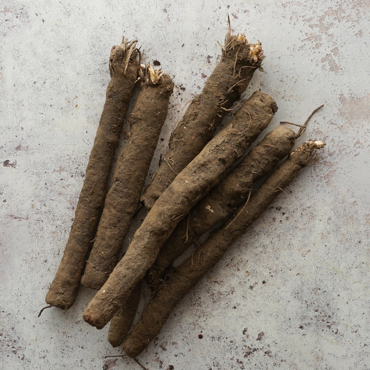 SALSIFY 1kg