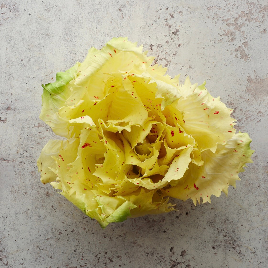 CASTELFRANCO RADICCHIO