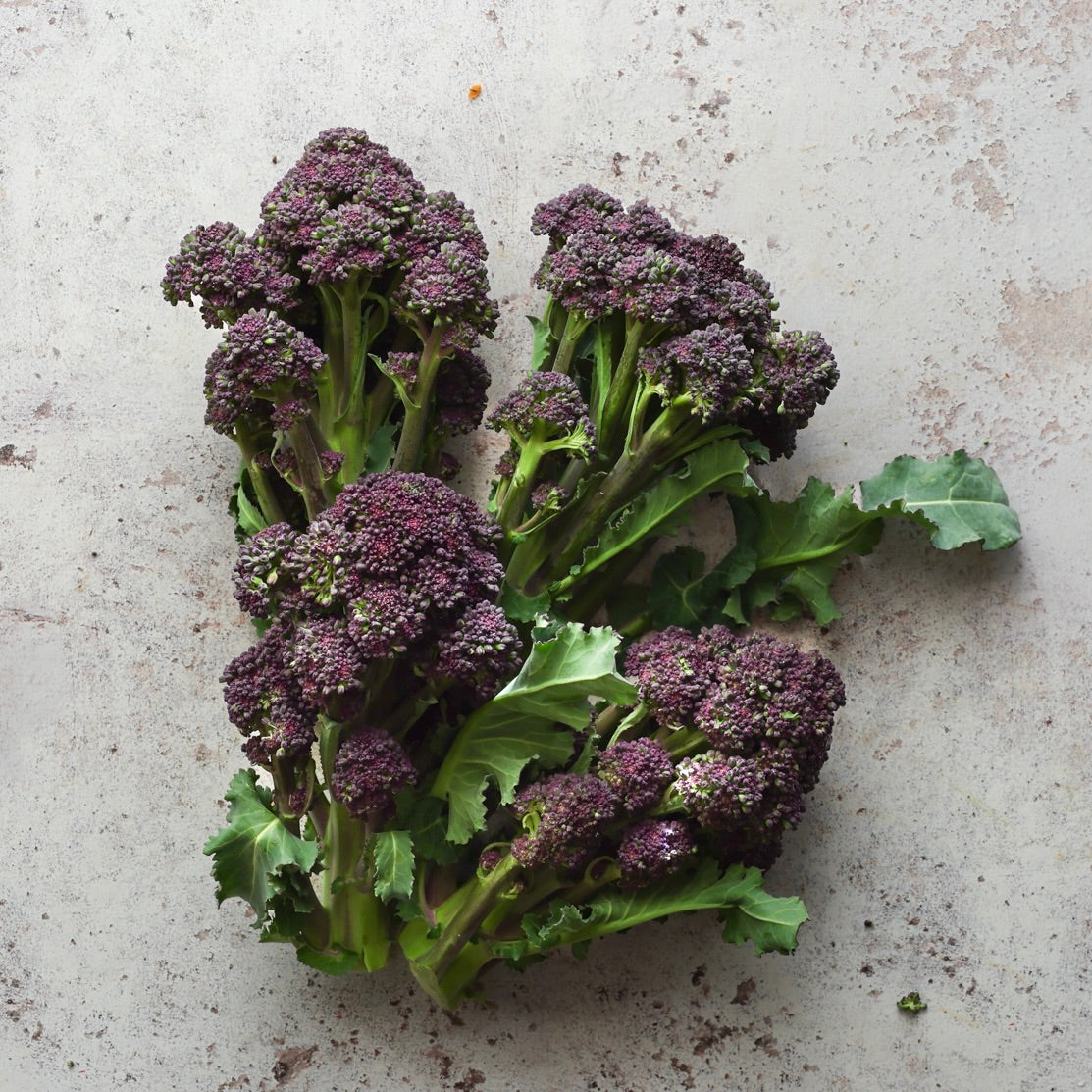 PURPLE SPROUTING BROCCOLI