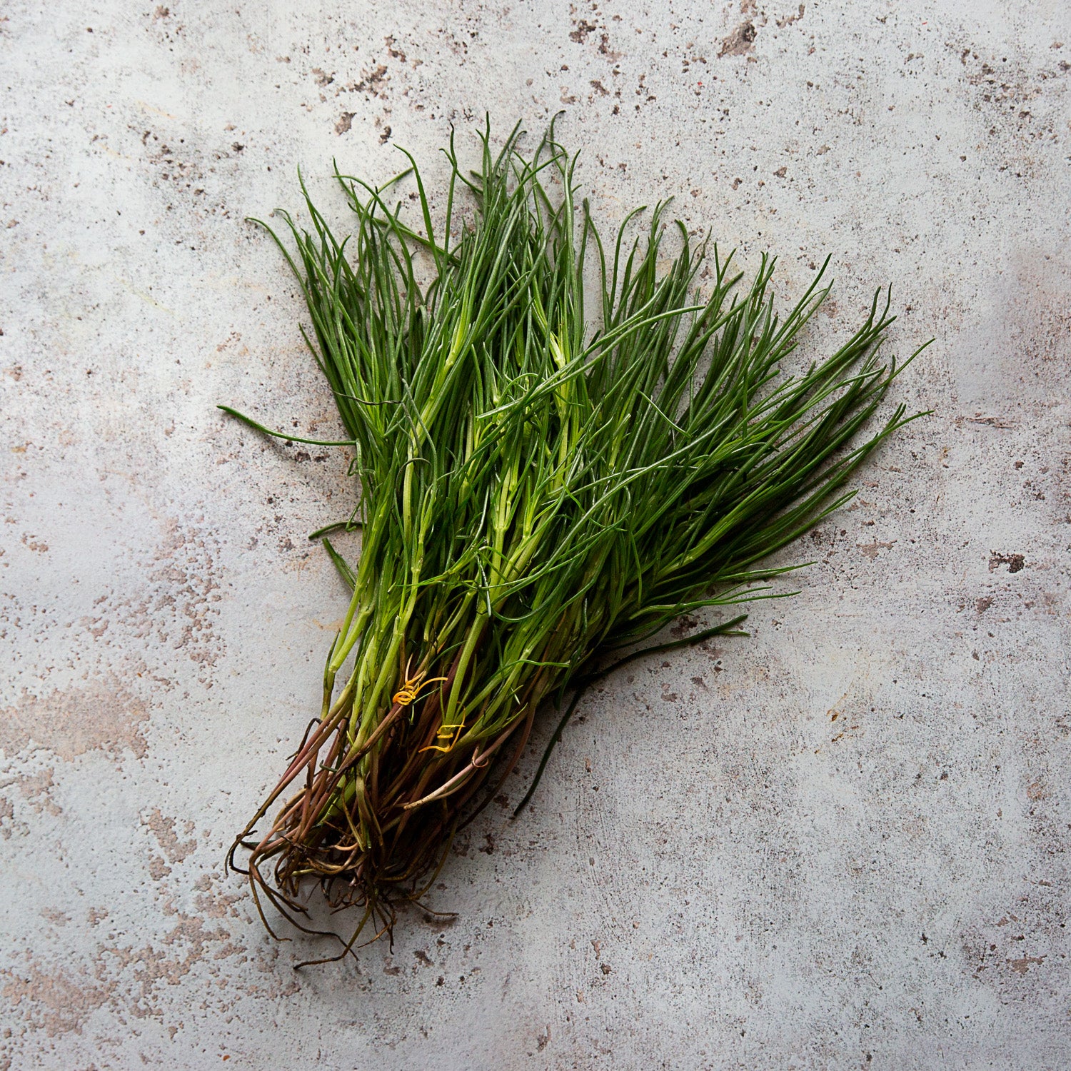 FRESH MONK'S BEARD (AGRETTI) 200g