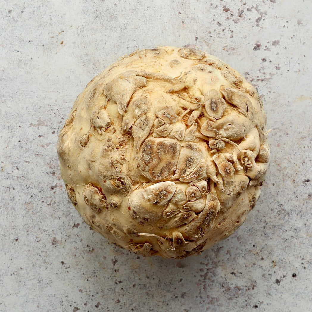 GIANT CELERIAC 1.4kg±