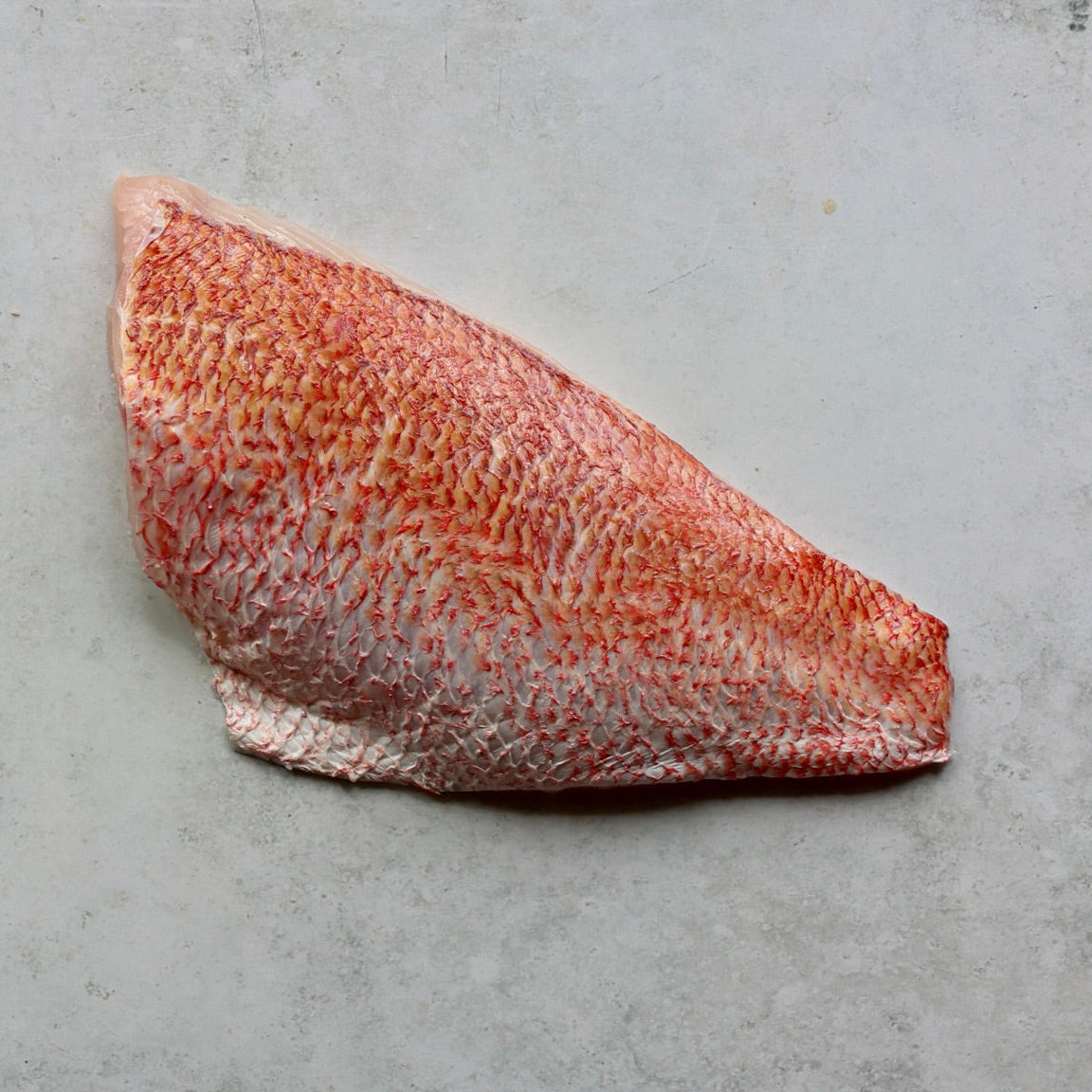 RED SNAPPER FILLET