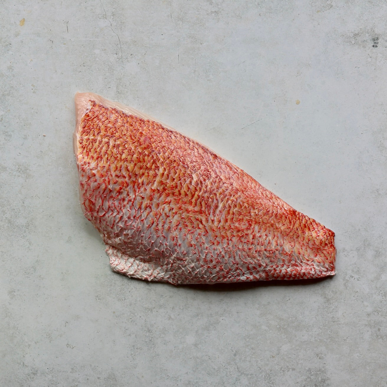 RED SNAPPER FILLET