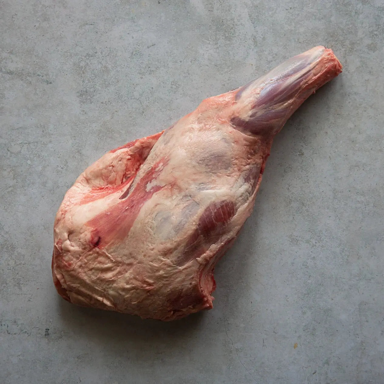 LUMINA LAMB SHOULDER 