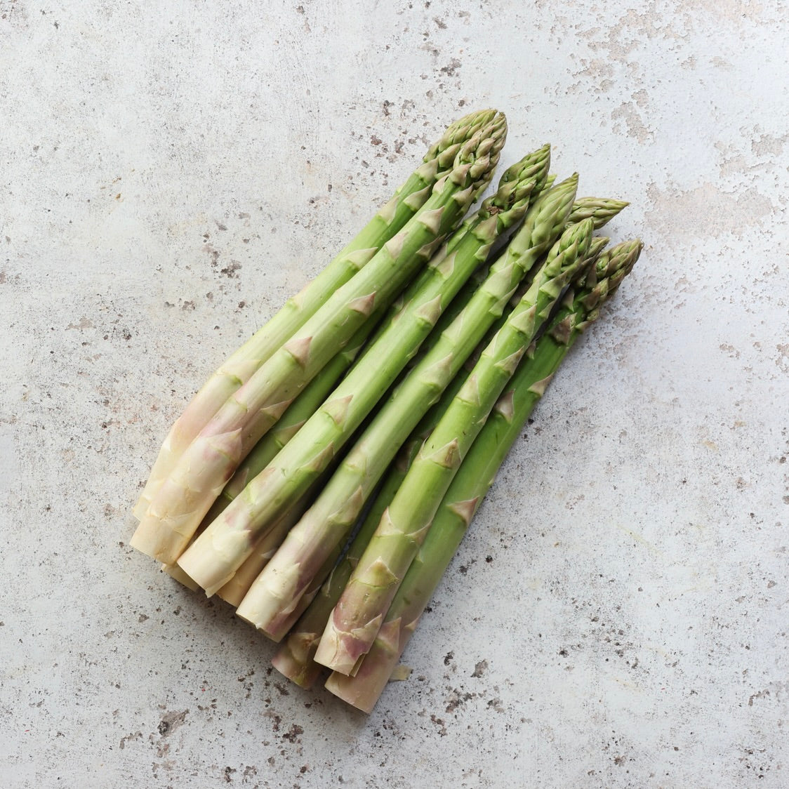 PRIMÉALE ASPARAGUS