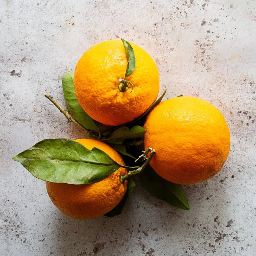 Sicilian Leafy Oranges | Premium Italian Citrus | FINE &amp; WILD UK