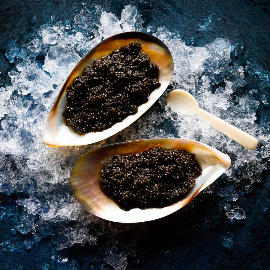 Sustainable Luxury : Inside the world of Sturia Caviar | FINE & WILD UK