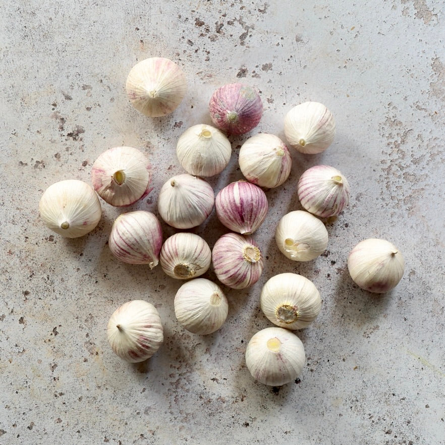 SINGLE CLOVE GARLIC