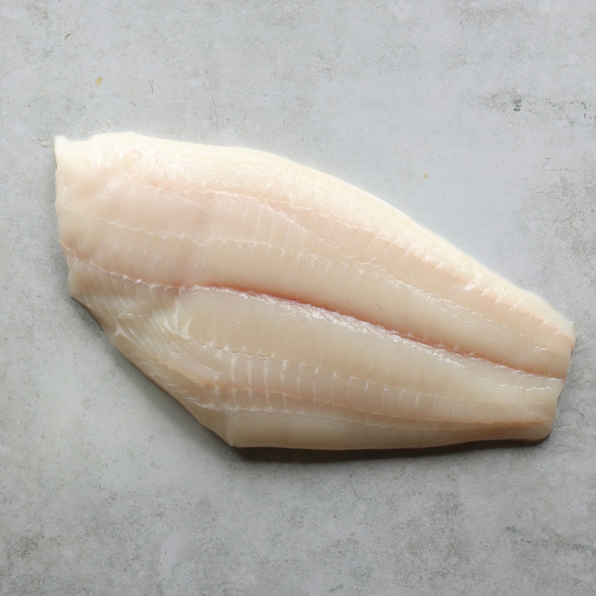 HALIBUT - WHOLE FILLET