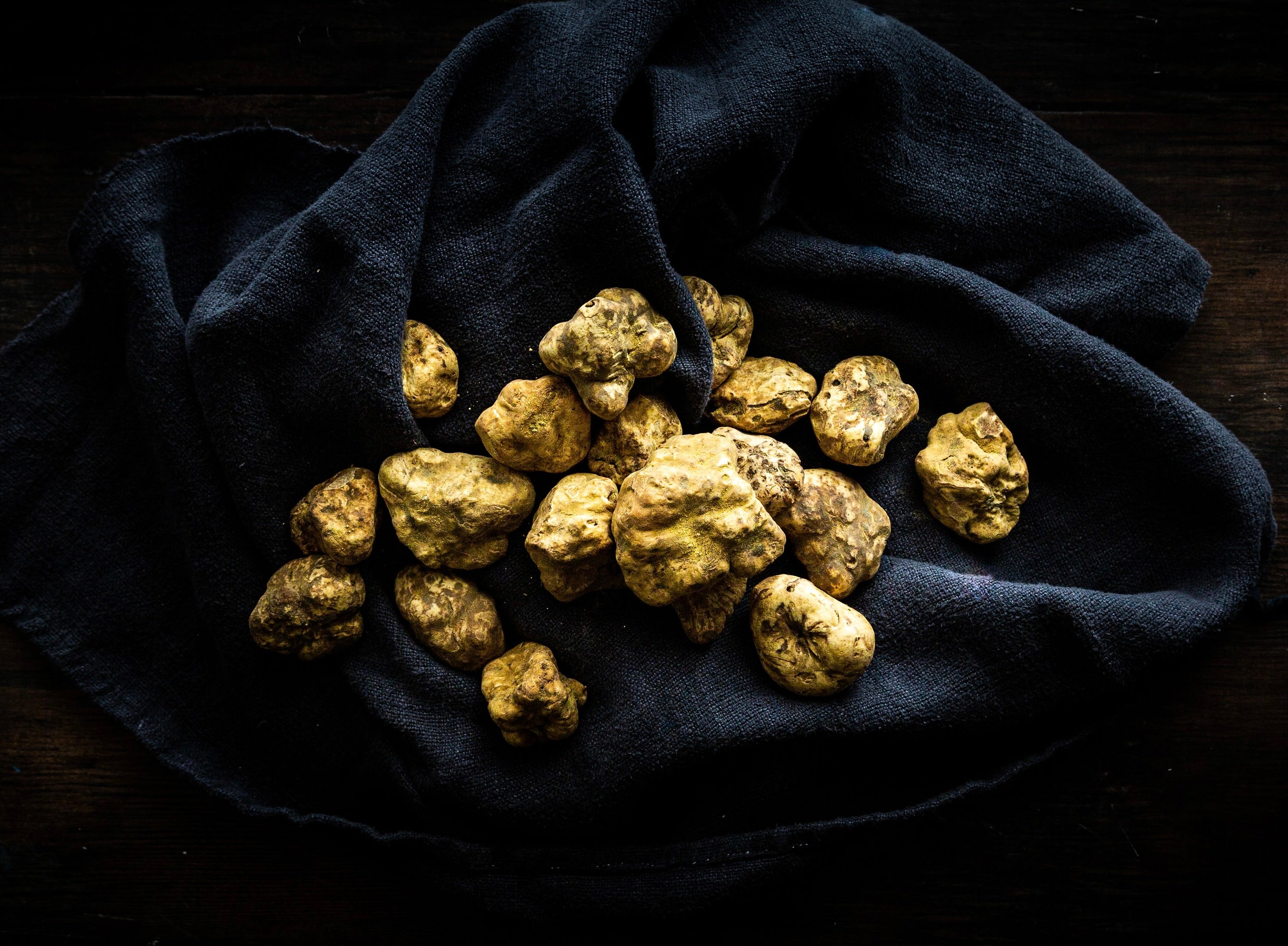 FINE & WILD UK Buy Fresh White Truffles 