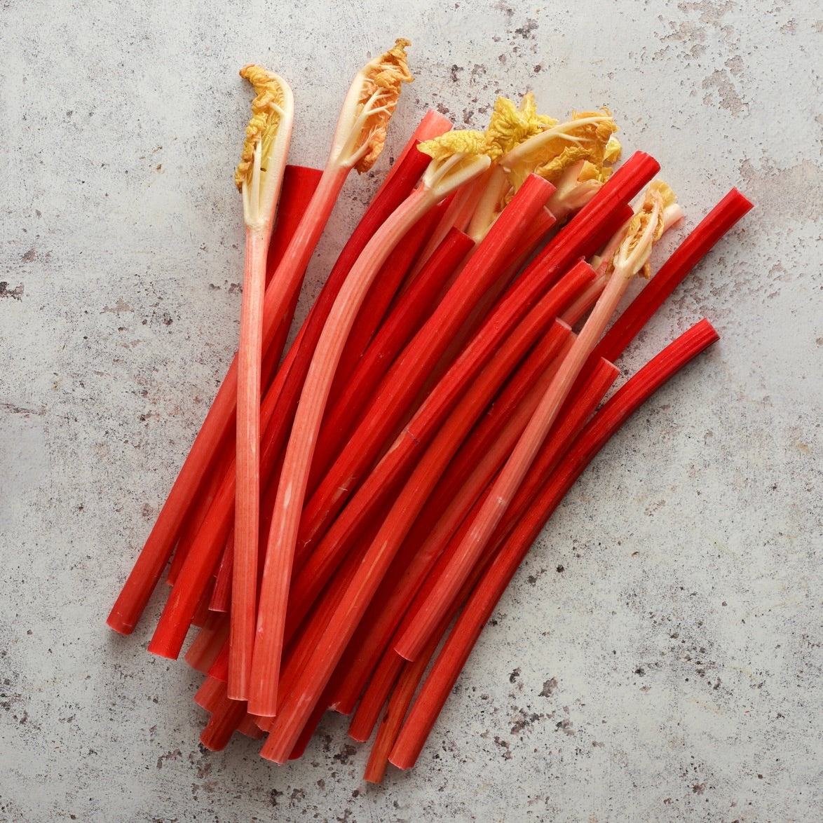 YORKSHIRE FORCED RHUBARB 1kg