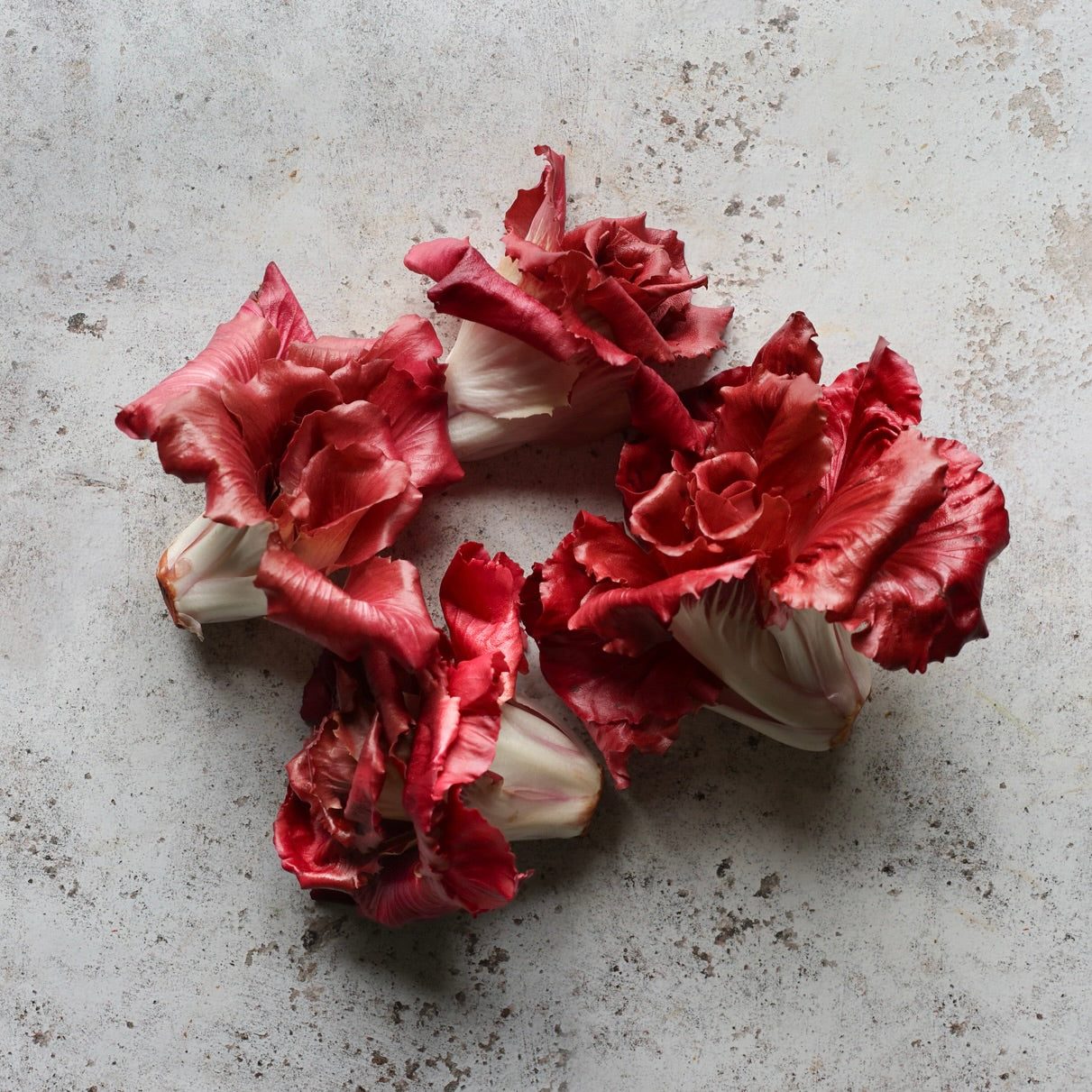 LA ROSA RADICCHIO