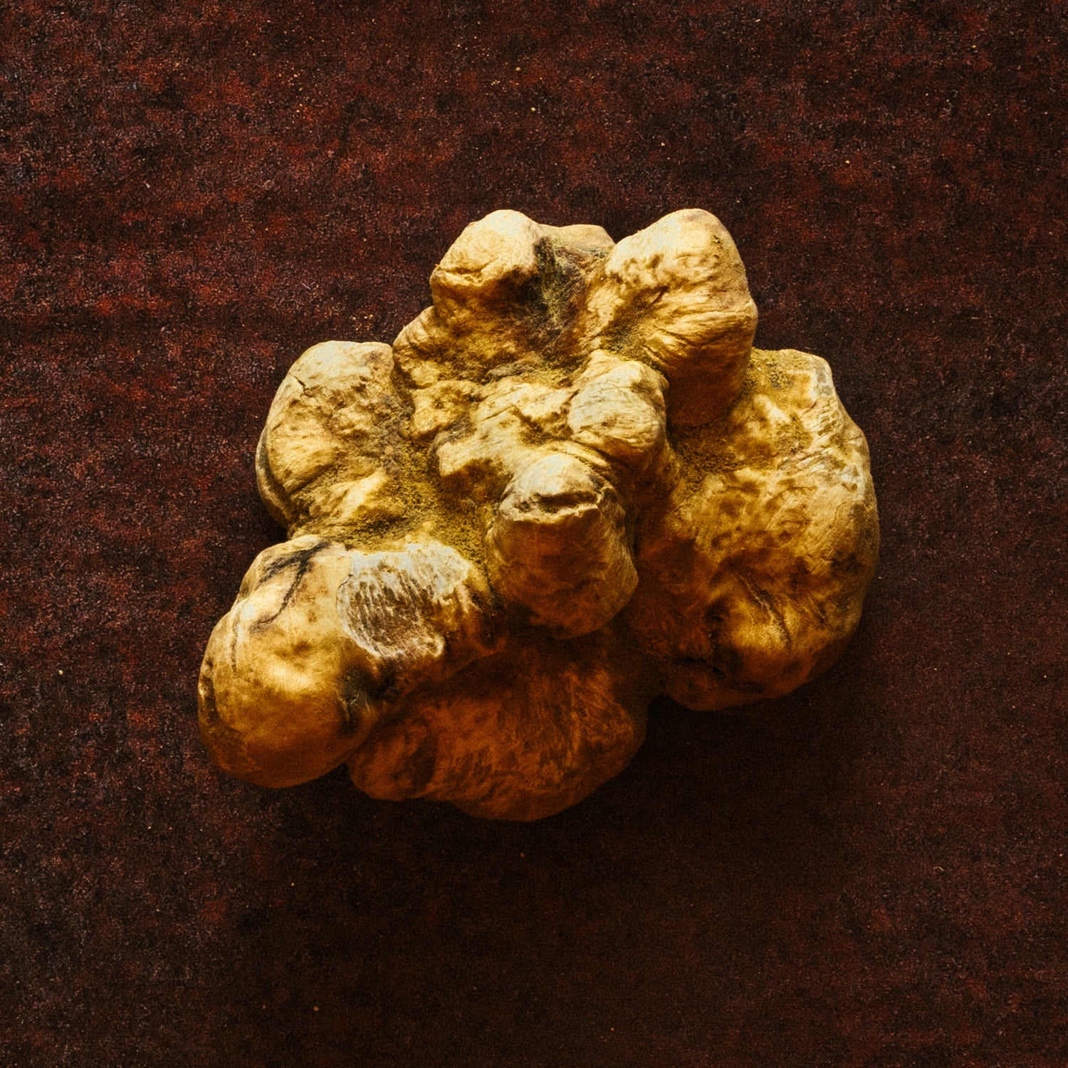 FRESH WHITE TRUFFLES