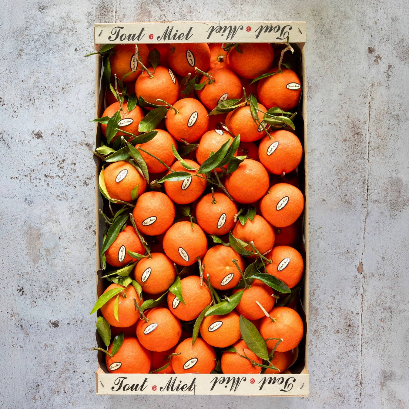 TOUT MIEL CLEMENTINES 1kg