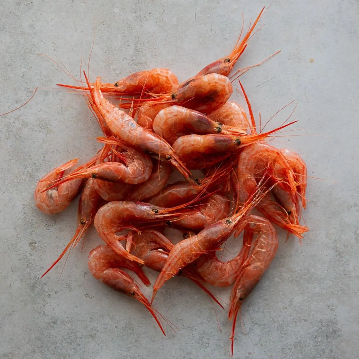 BLUE BELLY SHRIMP 500g 