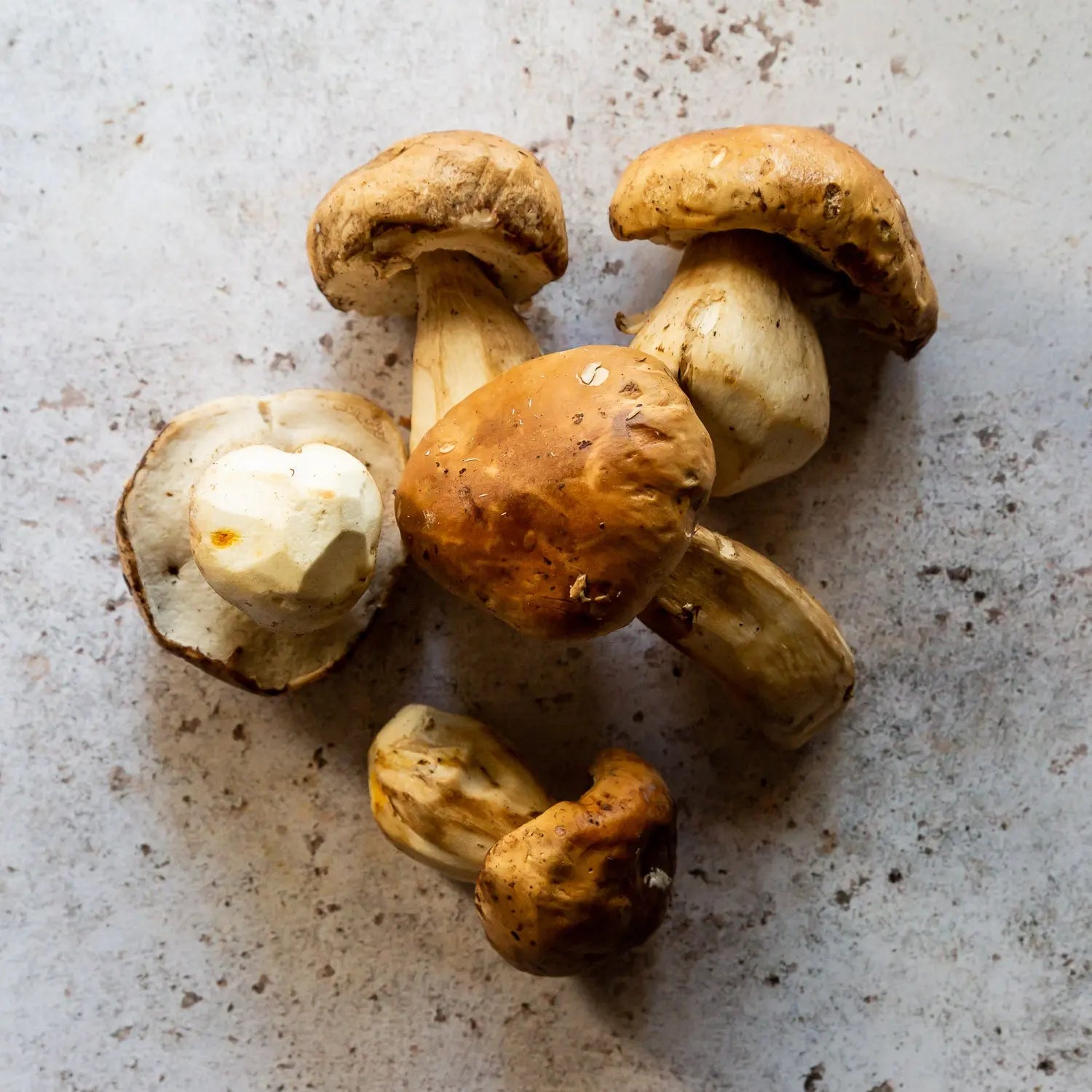 Fresh Porcini Mushrooms | Fresh Cep Mushrooms | FINE & WILD UK 