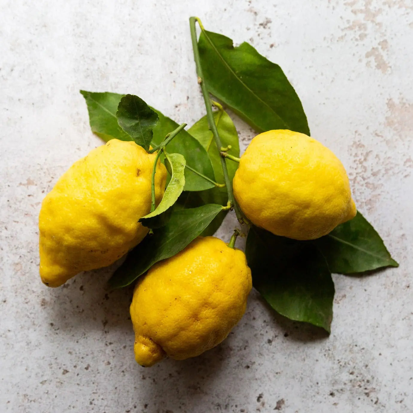 AMALFI LEMONS IGP 1kg 