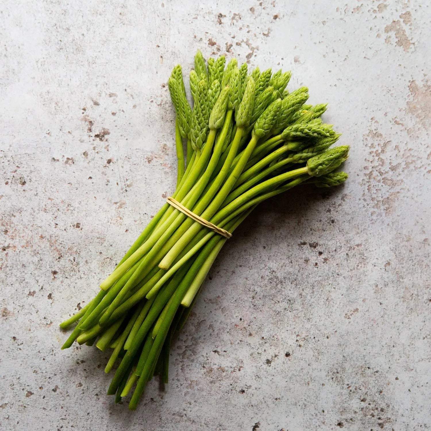 Fresh Wild Asparagus | FINE & WILD UK 