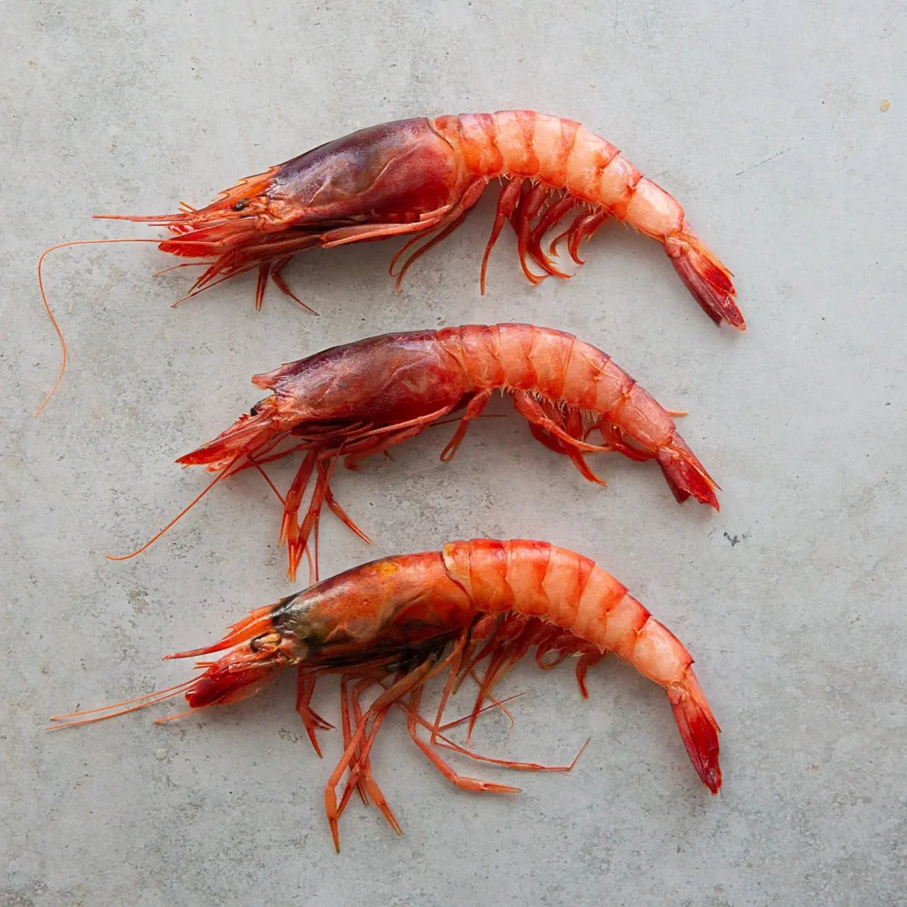 Denia Red Prawns | FINE & WILD UK 