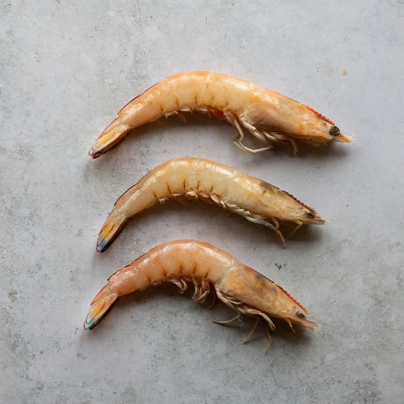 Shark Bay Western King Prawns | Fine & Wild UK 