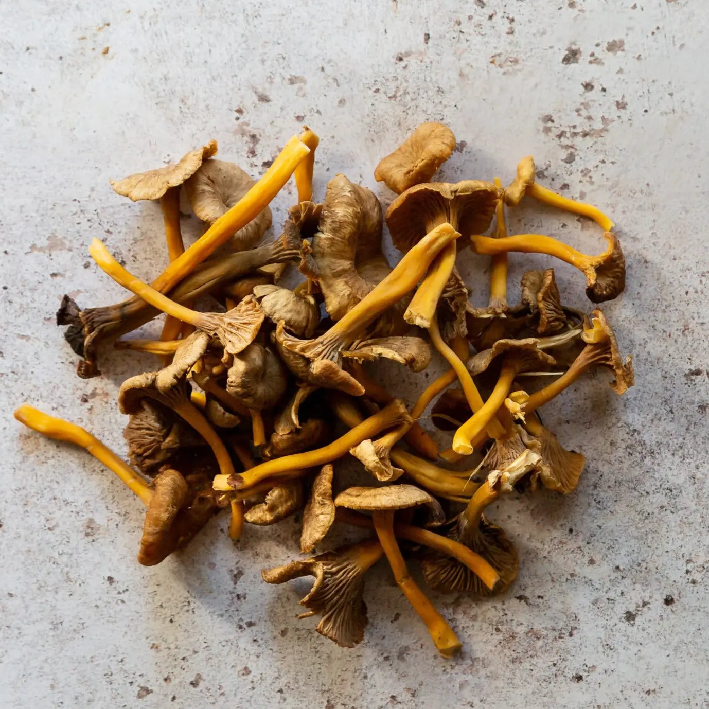 Fresh Chanterelle Mushrooms | FINE & WILD UK 