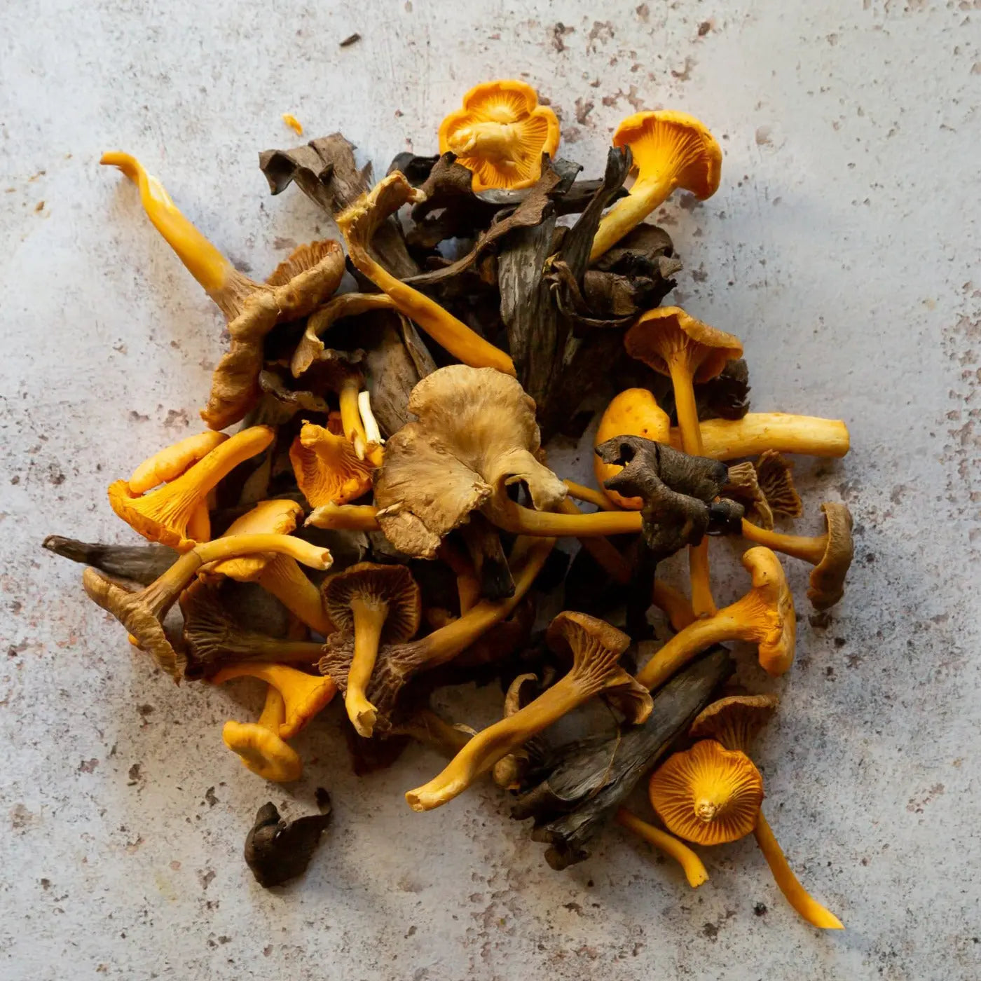 Fresh Woodland Mushroom Mix | FINE & WILD UK 
