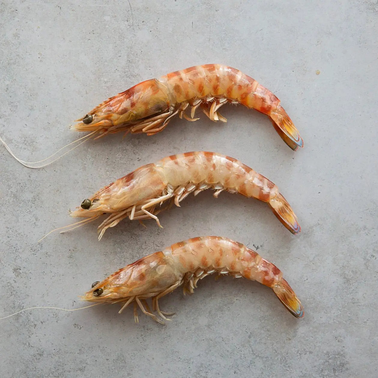 Wild Tiger Prawns | Wild King Prawns | Fine & Wild UK