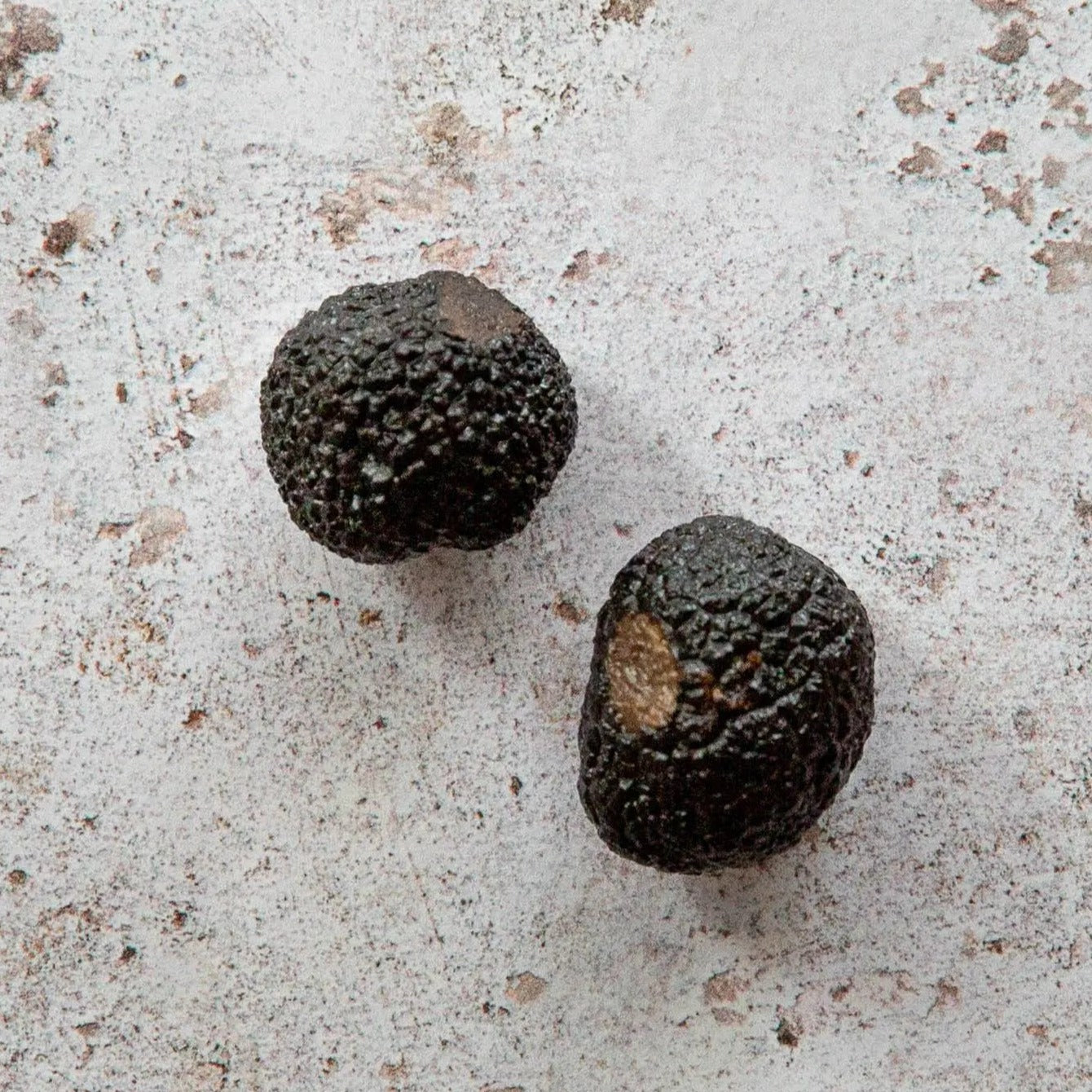 plantin preserved black truffles | FINE & WILD UK